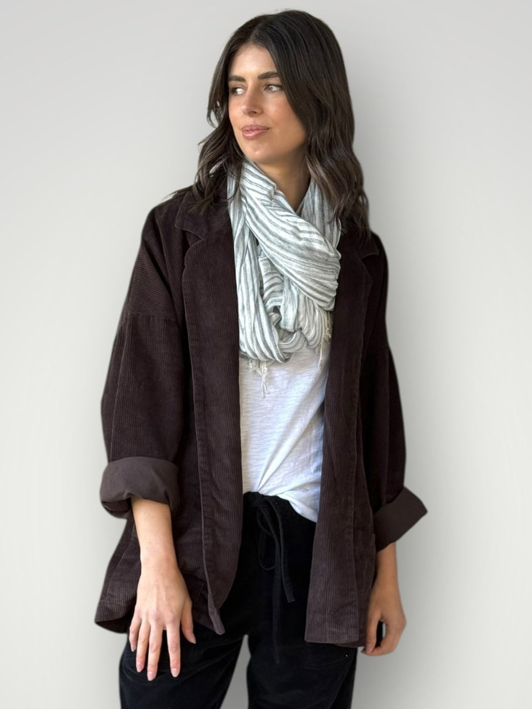 albert blazer - chocolate cord Shirts