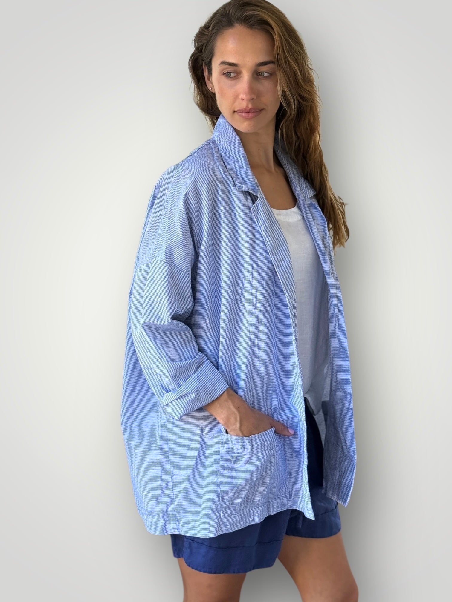 albert blazer - fine blue stripe linen Shirts