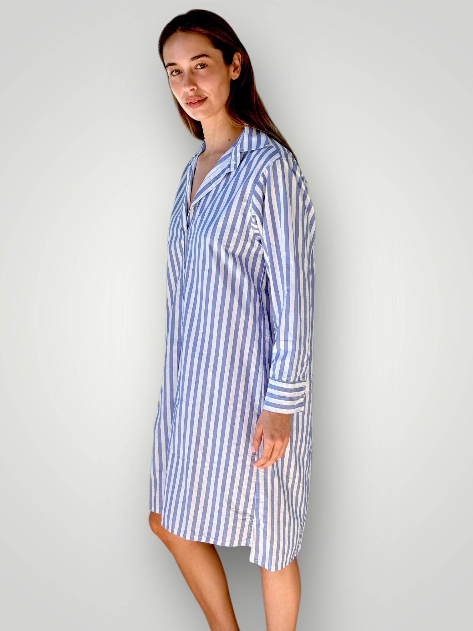 nina shirtdress - cornflower stripe cotton Apparel
